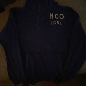 Hollister Sweatshirt, Blue, Button Collar, Size Large